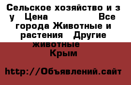 Сельское хозяйство и з/у › Цена ­ 2 500 000 - Все города Животные и растения » Другие животные   . Крым